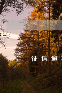 征信逾期三次能贷款不(逾期3次可以贷款吗)