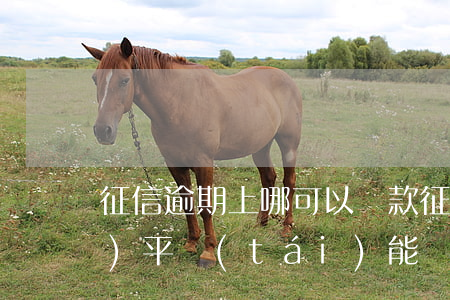 征信逾期上哪可以貸款(征信逾期哪個(gè)平臺(tái)能貸款)