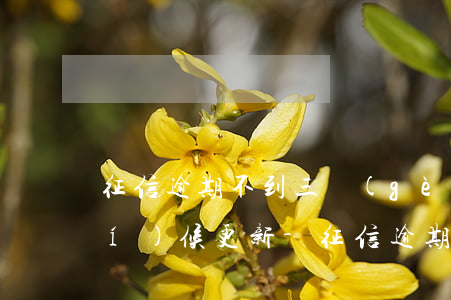 征信逾期不到三個(gè)月什么時(shí)候更新-征信逾期不到三個(gè)月什么時(shí)候更新信息