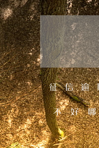 征信逾期不好哪个平台能贷到款-征信逾期不好哪个平台能贷到款呢