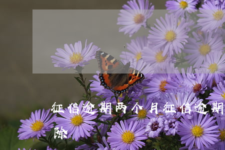 征信逾期两个月(征信逾期两个月记录多久消除)