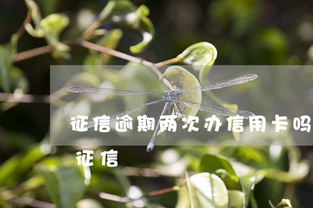征信逾期两次办信用卡吗(信用卡逾期几次上征信)