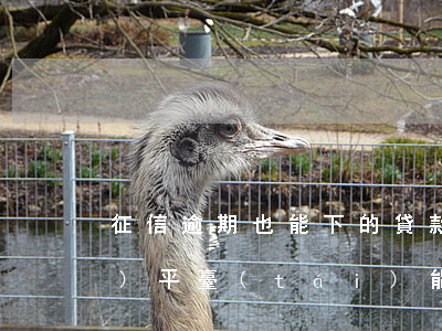 征信逾期也能下的貸款(征信逾期哪個(gè)平臺(tái)能貸款)