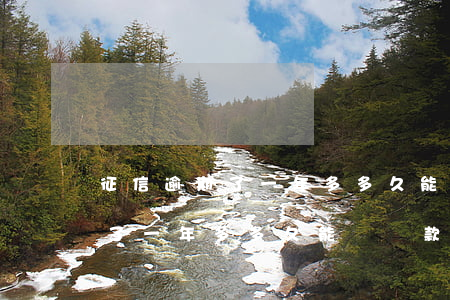 征信逾期了一年多多久能辦貸款-征信逾期了一年多多久能辦貸款啊