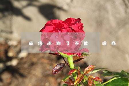 征信逾期了不能辦理商務(wù)簽證嗎-