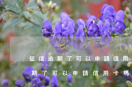 征信逾期了可以申請信用卡嗎貼吧-征信逾期了可以申請信用卡嗎貼吧