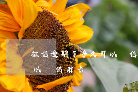 征信逾期了多久可以辦信用卡 有逾期多久可以辦信用卡