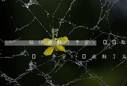 征信逾期了平安i貸還能提現(xiàn)嗎-平安i貸逾期了,后面還款了會上征信嗎