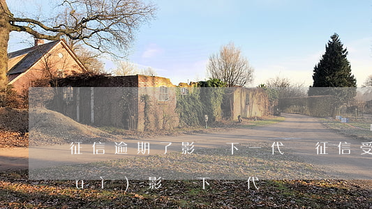 征信逾期了影響下一代嗎(征信受影響會(huì)影響下一代嗎)