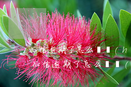 征信逾期了怎么辦 會(huì)保留多久-征信逾期了怎么辦 會(huì)保留多久記錄