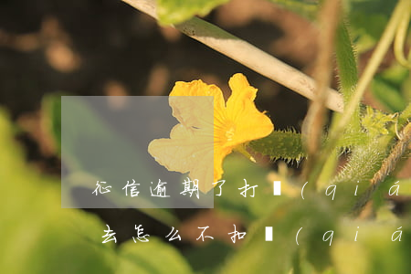 征信逾期了打錢(qián)進(jìn)去怎么不扣錢(qián)-征信逾期了打錢(qián)進(jìn)去怎么不扣錢(qián)呢