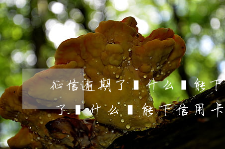征信逾期了為什么還能下信用卡-征信逾期了為什么還能下信用卡呢