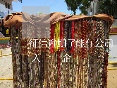 征信逾期了能在公司上班嗎(征信有逾期可以入職國企嗎)