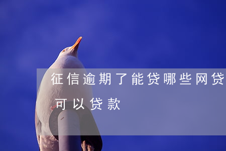 征信逾期了能贷哪些网贷(征信逾期哪个网贷可以贷款)