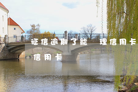 征信逾期了能辦理信用卡嗎(逾期上征信能辦信用卡嗎)