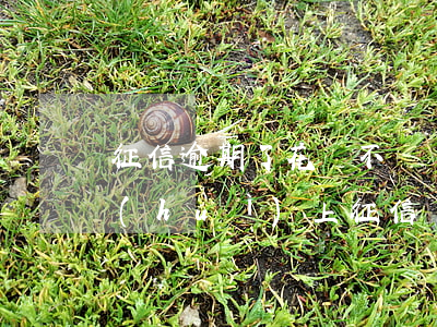 征信逾期了花唄不漲額度(花唄逾期金額少會(huì)上征信嗎?花唄逾期有什么后果)