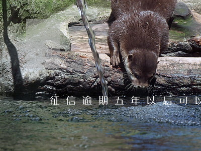 征信逾期五年以后可以自動覆蓋嗎