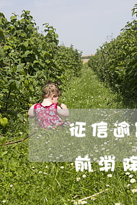 征信逾期五年(征信逾期五年才能消除,可以提前消除嗎?)