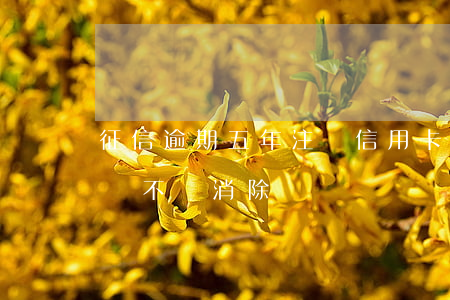 征信逾期五年注銷信用卡(五年前征信逾期了會不會消除)