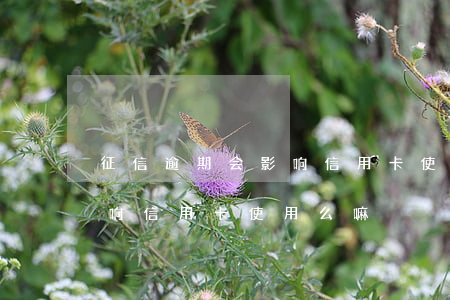征信逾期会影响信用卡使用么(征信逾期会影响信用卡使用么嘛)