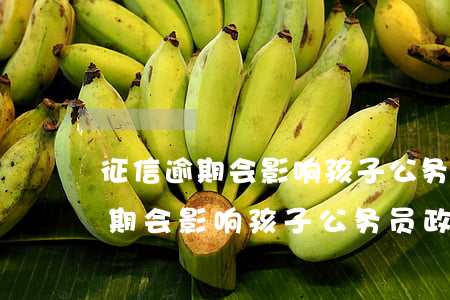 征信逾期会影响孩子公务员政审吗-征信逾期会影响孩子公务员政审吗知乎