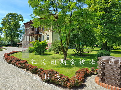 征信逾期会被法院通报吗（征信逾期会被法院通报吗）