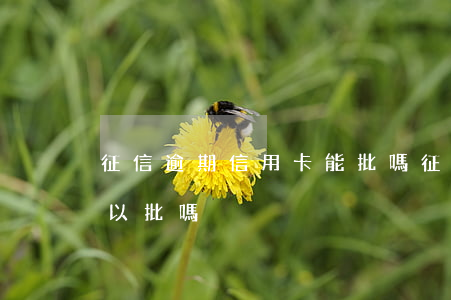 征信逾期信用卡能批嗎(征信有逾期信用卡可以批嗎)