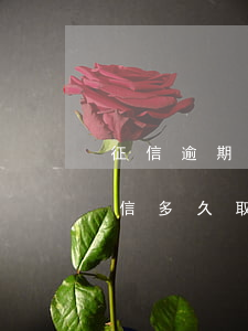 征信逾期信用卡能解凍嗎(信用卡逾期凍結征信多久取消)