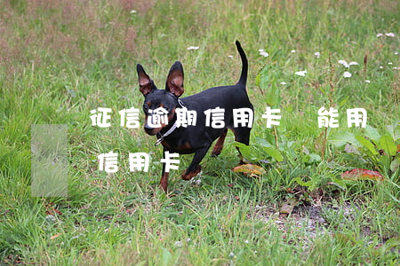 征信逾期信用卡還能用嗎(逾期上征信還能辦信用卡嗎)