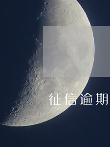 征信逾期借款