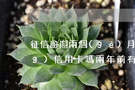 征信逾期兩個(gè)月還能申請(qǐng)信用卡嗎(兩年前有逾期還可以申請(qǐng)信用卡嗎)