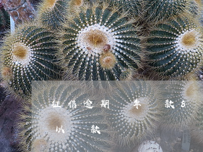 征信逾期兩年貸款8萬(征信兩年前有逾期可以貸款)