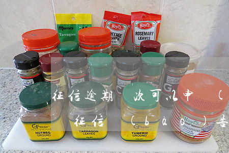 征信逾期兩次可以申請(qǐng)信用卡嗎(征信報(bào)告中信用卡逾期兩次能貸款嗎)