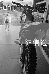 征信逾期兩次能貸款嗎(征信有兩三次逾期)