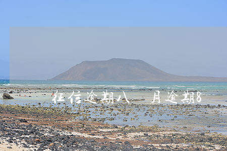 征信逾期八個月（逾期8個月會怎么樣嗎上海）
