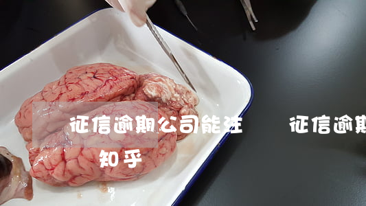 征信逾期公司能注銷嗎(征信逾期公司能注銷嗎知乎)