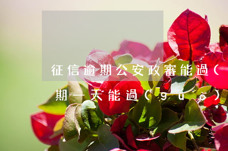 征信逾期公安政審能過(guò)嗎（征信逾期一天能過(guò)政審嗎）