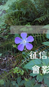 征信逾期公職人員會停職嘛(征信有逾期記錄會影響公務(wù)員政審嗎)
