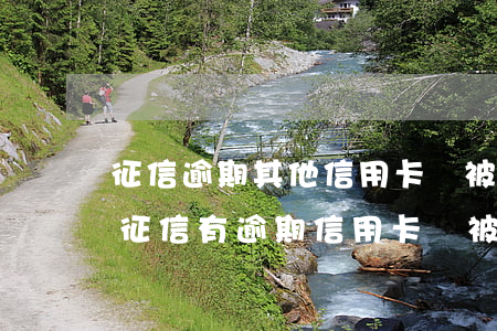 征信逾期其他信用卡會被凍結(jié)嗎(征信有逾期信用卡會被凍結(jié)嗎)