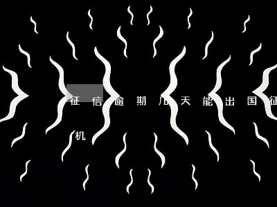 征信逾期几天能出国(征信逾期多久限制坐飞机)