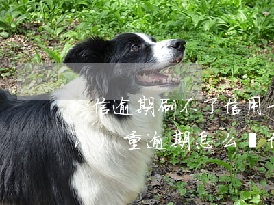 征信逾期刷不了信用卡怎么辦 征信嚴(yán)重逾期怎么辦信用卡