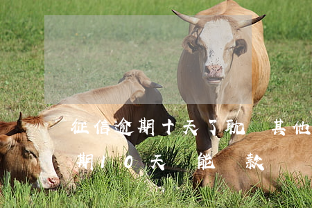 征信逾期十天了耽誤其他行批卡嗎-征信逾期10天還能貸款嗎