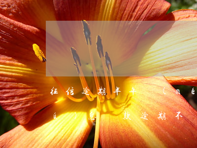 征信逾期半年沒(méi)還貸款嗎(無(wú)息貸款逾期不還多久上征信)
