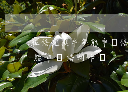 征信逾期半年能申請信用卡嗎(征信逾期半年能申請信用卡嗎)