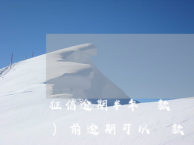 征信逾期半年貸款買車(征信有當(dāng)前逾期可以貸款買車嗎)