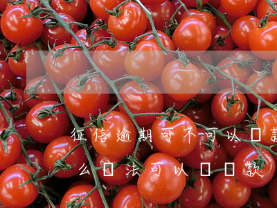 征信逾期可不可以貸款(征信不好,有逾期,有什么辦法可以辦貸款)