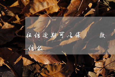 征信逾期可以保單貸款嗎(擔保逾期會影響征信么)