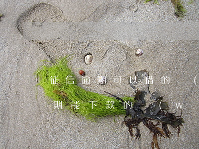 征信逾期可以借的網(wǎng)貸(征信逾期能下款的網(wǎng)貸)