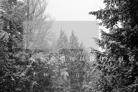 征信逾期可以做什么(征信逾期可以做什么網(wǎng)貸)