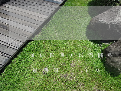征信逾期可以做哪些網(wǎng)貸(征信逾期哪個網(wǎng)貸可以貸款)